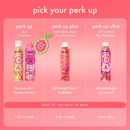 beach day besties dry shampoo duo