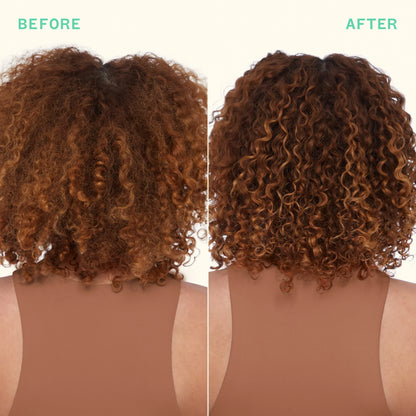 mane menders strength repair wash + care set