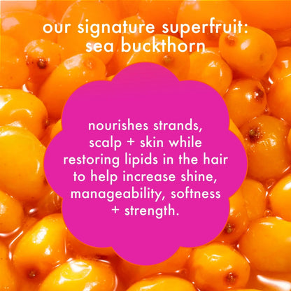 super-sized strength repair set the kure shampoo, conditioner + mask